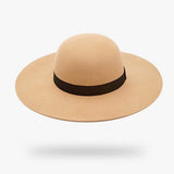 The hat for summer